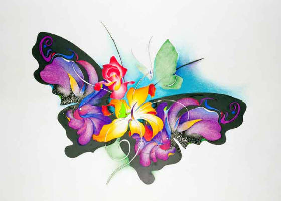 butterfly800x571.jpg